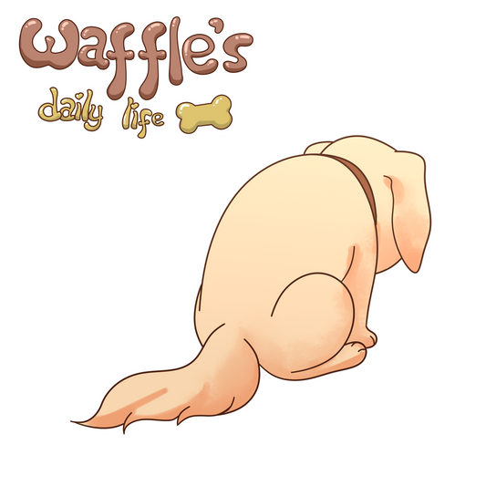 Waffle’s Oops Moment 🙈🐾🍗